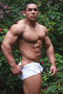 Pablo Blades